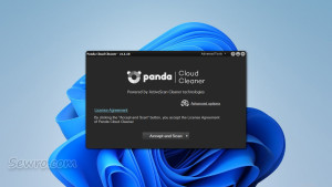 panda-cloud-cleaner-29458006.jpg